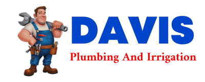 Trusted plumber in GOWEN CITY